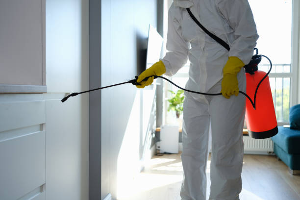 Mold Removal and Inspection in Bradford, TN